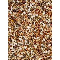 Dovix Kortbek 20 kg Kip