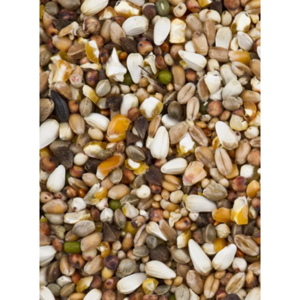 Dovix Tortelduif 20 kg^Deli Nature Best