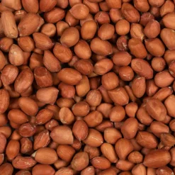 Hot Greenline Peeled Peanuts 850 gr Vogels En Tuindieren