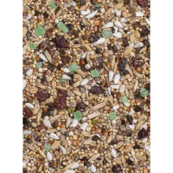 Online Grote Parkiet Supreme Fruit 20 kg Droogvoer & Zaden