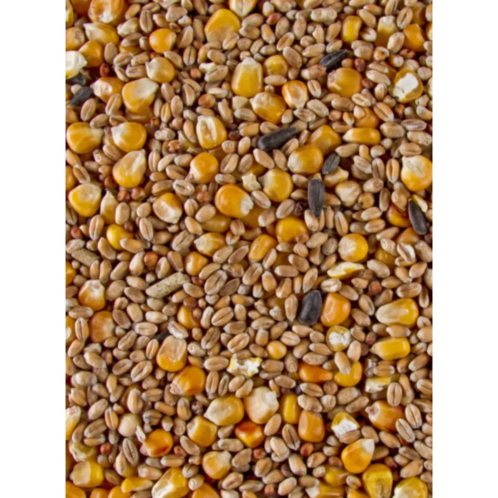 Best Hobby X-line Gemengd Graan met Volle Mais 20 kg Kip