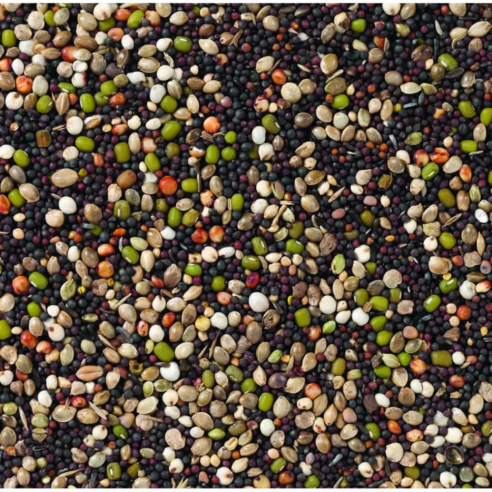 Droogvoer & Zaden<Deli Nature Kiemzaad Kanaries Nummer 82 20 kg