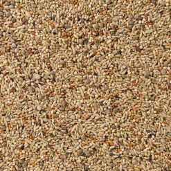 Best Kweek Parkiet Nummer 67 20 kg Droogvoer & Zaden