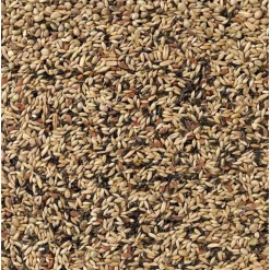 Kweek Zonder Raapzaad Kanarie Nummer 80 20 kg^Deli Nature Sale