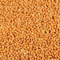 Millet Geel 20 kg^Deli Nature New