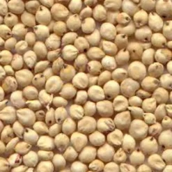 Millet Rood 20 kg^Deli Nature New