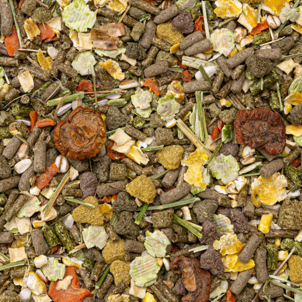 Droogvoer & Zaden<Deli Nature Rodelicious Adult Konijnenvoer 12,5 kg