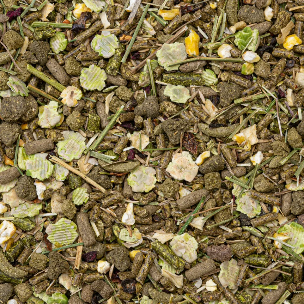 Best Rodelicious Chinchillavoer 2,5 kg Droogvoer & Zaden