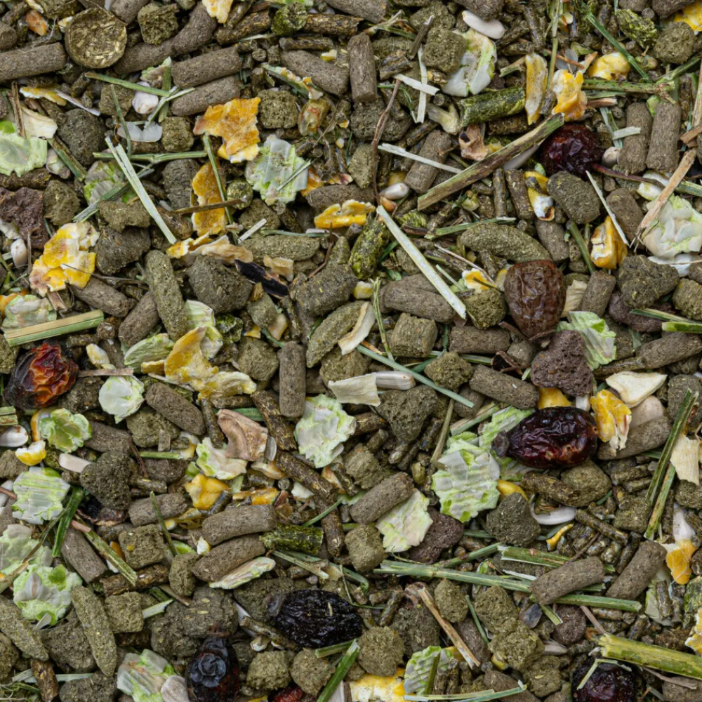 Droogvoer & Zaden<Deli Nature Rodelicious Caviavoer 750 gr