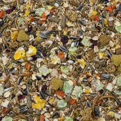 Droogvoer & Zaden<Deli Nature Rodelicious Dwerghamsters, Muizen en Gerbils 750 gr