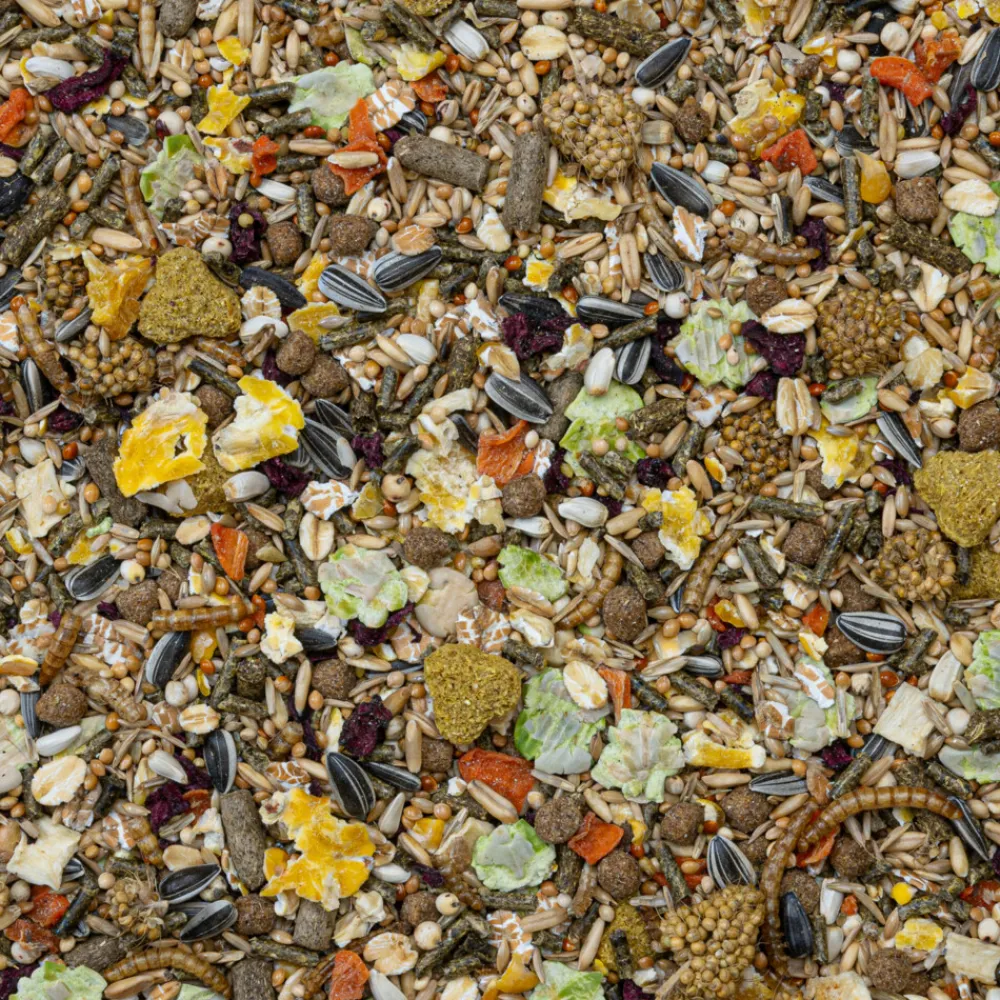 Droogvoer & Zaden<Deli Nature Rodelicious Dwerghamsters, Muizen en Gerbils 750 gr