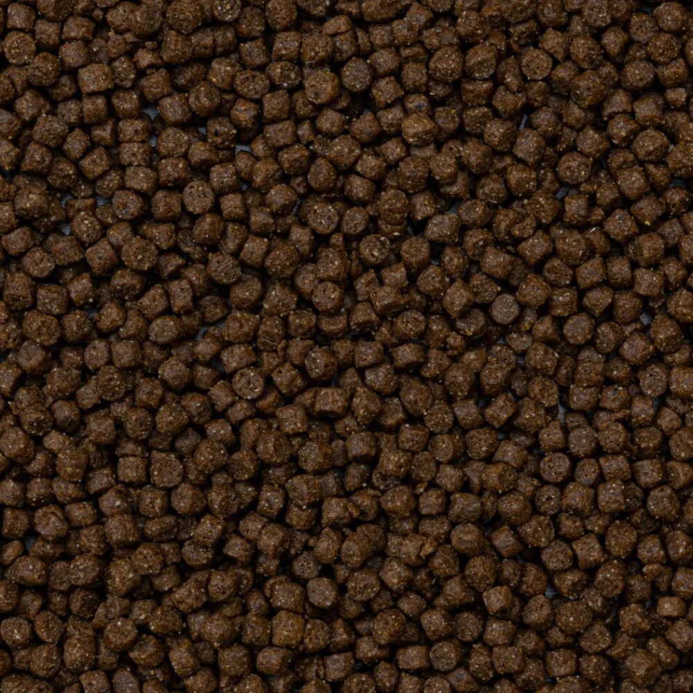 Rodelicious Frettenvoer 2,5 kg^Deli Nature Outlet