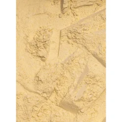 Droogvoer & Zaden<Deli Nature Start + High Protein 500 gr