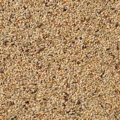 Super Parkiet Nummer 66 20 kg^Deli Nature Clearance