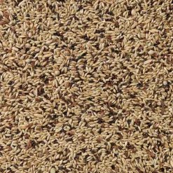 Outlet Supreme Kanarie Nummer 55 20 kg Droogvoer & Zaden