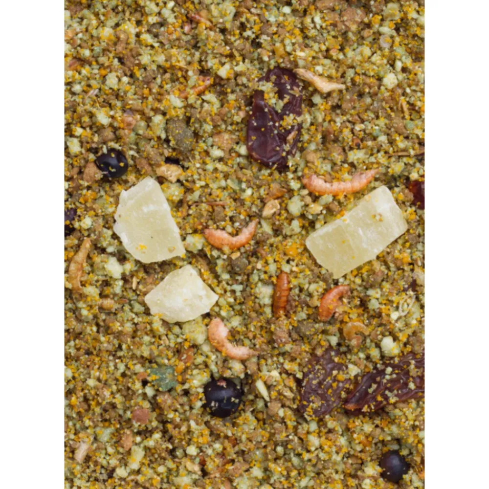 Droogvoer & Zaden<Deli Nature Vruchtenpaté 10 kg