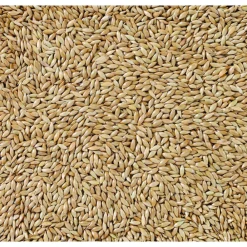 Droogvoer & Zaden<Deli Nature Witzaad Extra 86 20 kg