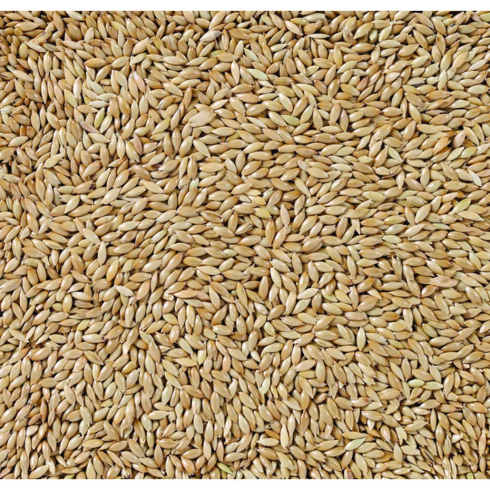 Droogvoer & Zaden<Deli Nature Witzaad Extra 86 20 kg