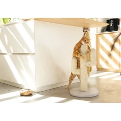 New Houten Krabpaal Cactus Wit 35 x 35 x 60 cm Krabpalen & Meubels