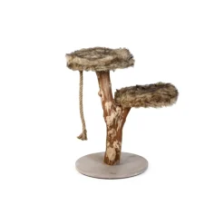 Krabpalen & Meubels<Designed by Lotte Krabmeubel Hout Aviva 50 x 50 x 68 cm