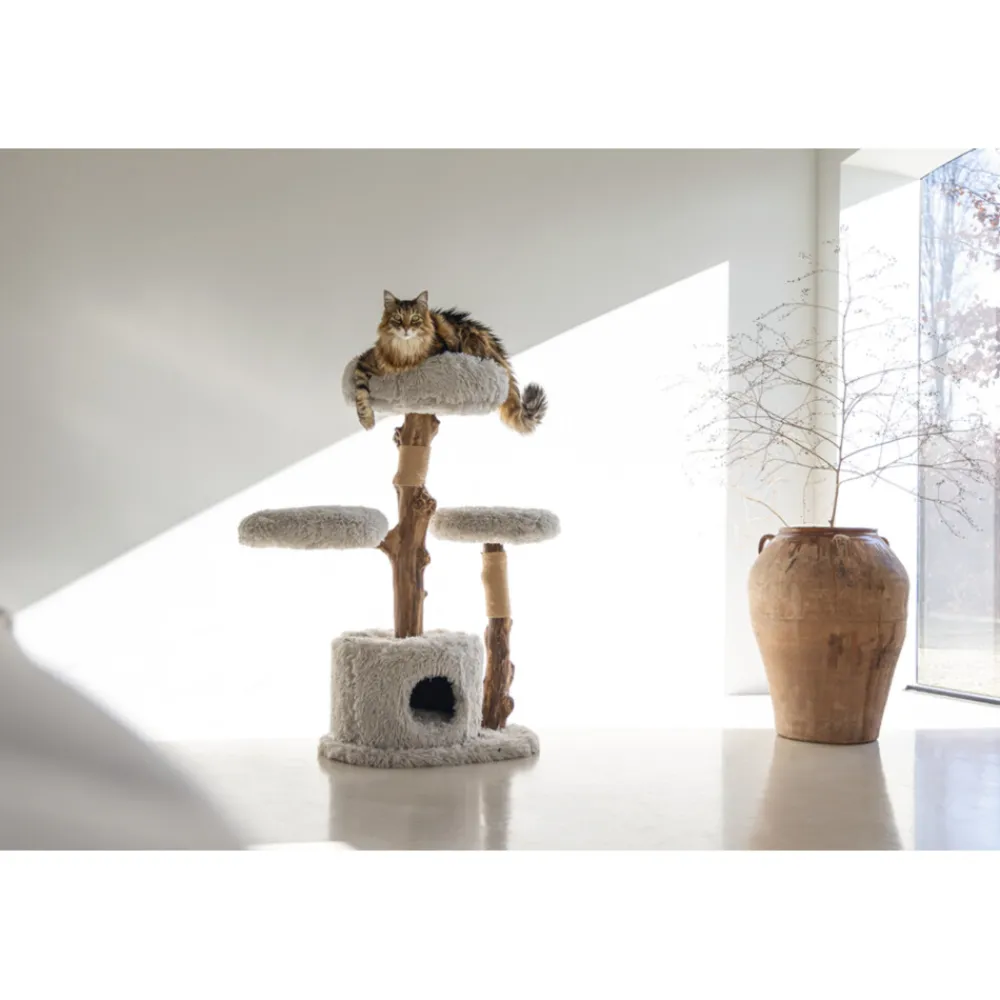 Krabmeubel Hout Ziza 60 x 45 x 100 cm Krabpalen & Meubels