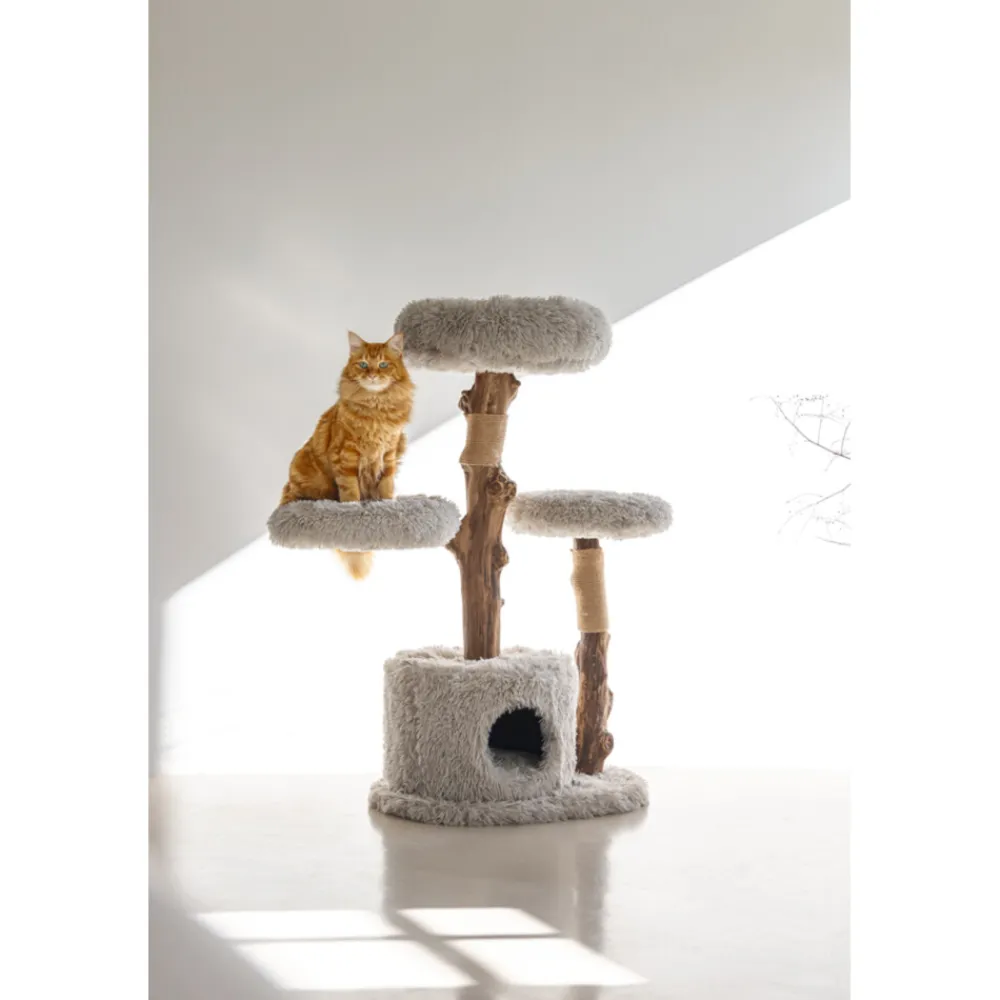 Krabmeubel Hout Ziza 60 x 45 x 100 cm Krabpalen & Meubels