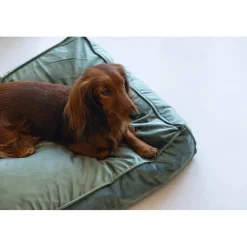 Ligkussen Nalino Hond Groen 70 x 55 x 15 Manden & Dekens