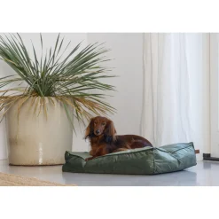 Ligkussen Nalino Hond Groen 70 x 55 x 15 Manden & Dekens