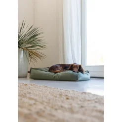 Ligkussen Nalino Hond Groen 70 x 55 x 15 Manden & Dekens