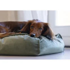 Ligkussen Nalino Hond Groen 70 x 55 x 15 Manden & Dekens