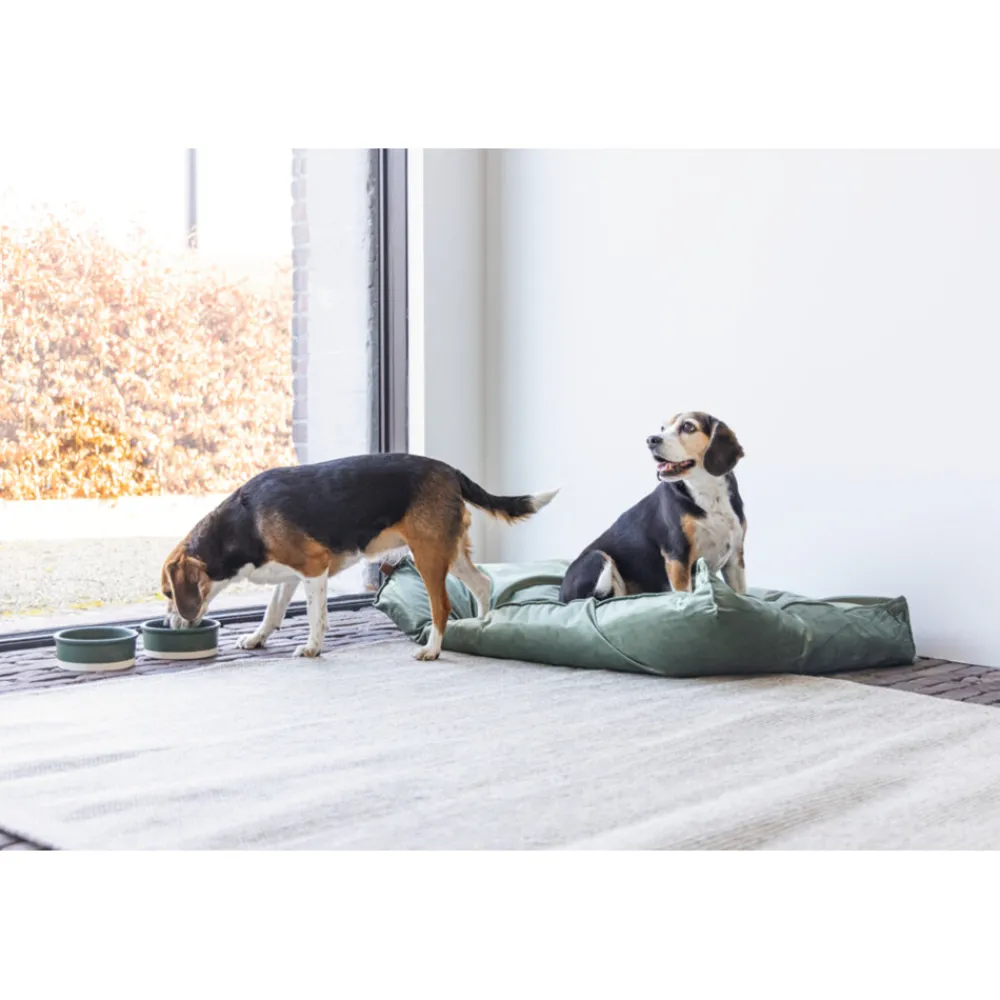 Manden & Dekens<Designed by Lotte Ligkussen Fluweel Nalino Groen 100 x 70 x 15 cm