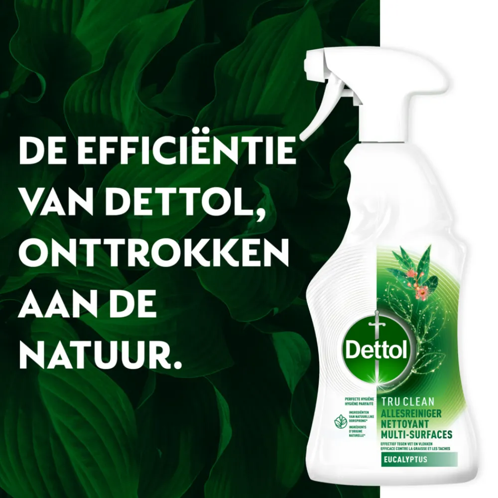 Allesreiniger<Dettol Allesreiniger Spray Eucalyptus 500 ml