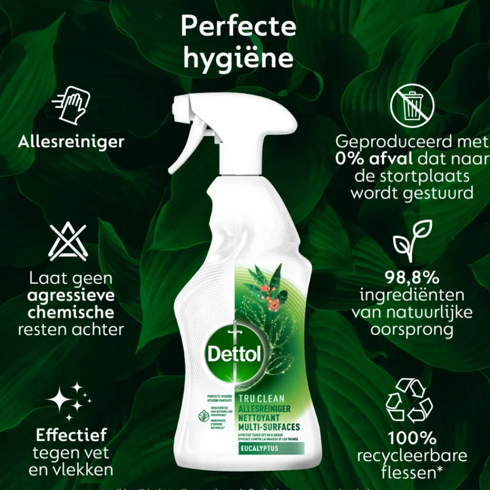 Allesreiniger<Dettol Allesreiniger Spray Eucalyptus 500 ml