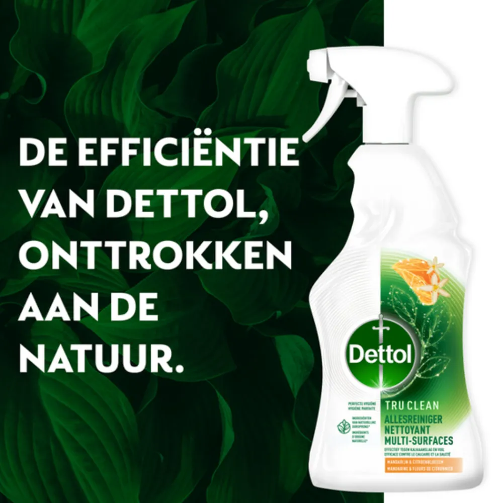 Outlet Allesreiniger Spray Mandarijn & Citroenbloesem 500 ml Allesreiniger