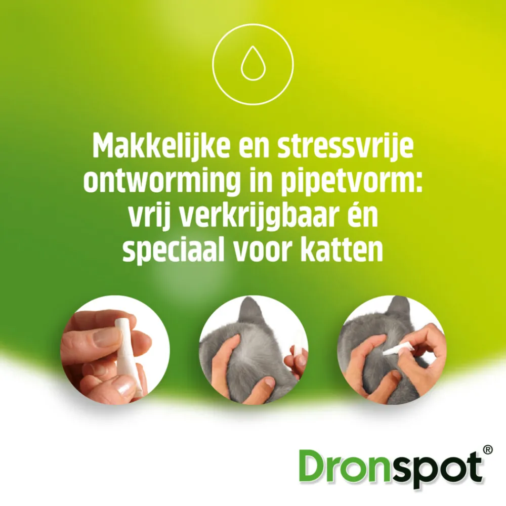 Vlo, Teek & Worm<Dronspot Spot On Kat Ontwormingsdruppels Kat 5 - 8 kg 2 pipetten