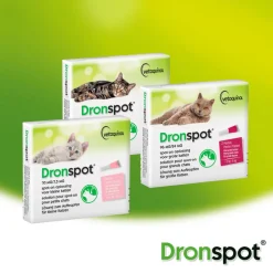 Vlo, Teek & Worm<Dronspot Spot On Kat Ontwormingsdruppels Kat 5 - 8 kg 2 pipetten