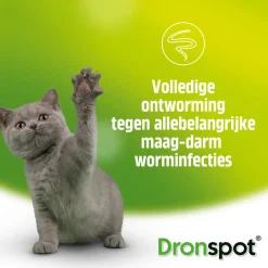 Vlo, Teek & Worm<Dronspot Spot On Kat Ontwormingsdruppels Kat 5 - 8 kg 2 pipetten