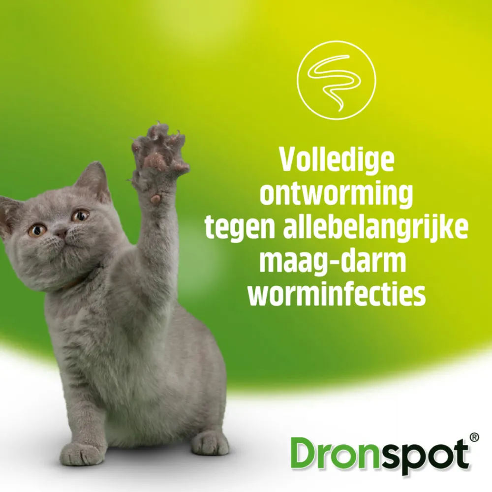 Vlo, Teek & Worm<Dronspot Spot On Ontwormingsdruppels Kat 2,5 - 5 kg 2 pipetten
