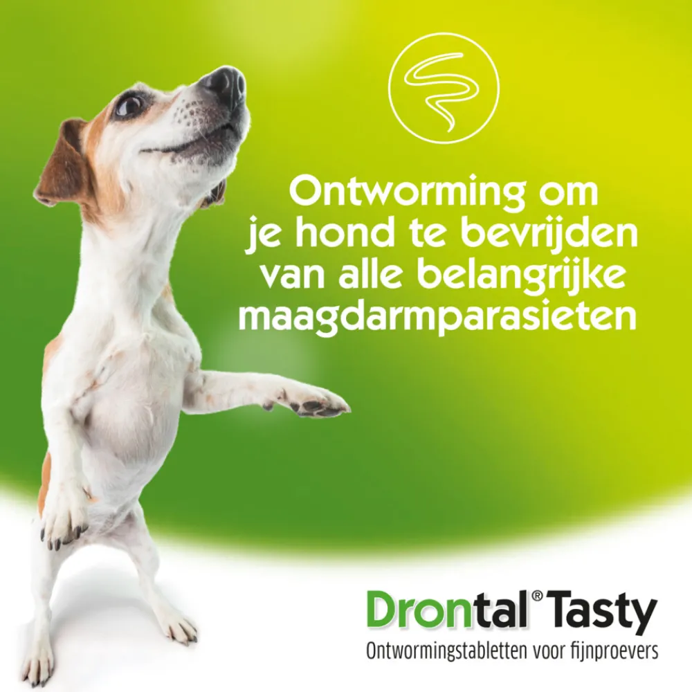 Dog Flavour Ontworming Tabletten Vanaf 10 kg 6 tabletten^Drontal