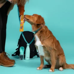 Outlet Adult Bar Appel 30 gr Snacks