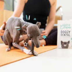 Snacks<Edgard & Cooper Doggy Dental Sticks Small Aardbei - Frisse Muntolie