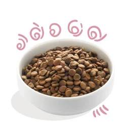 Hondenvoer<Edgard & Cooper Hondenvoer Puppy Scharrelkip - Scharreleend 2,5 kg