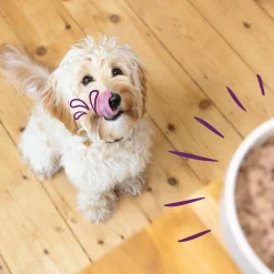 Hondenvoer<Edgard & Cooper Hondenvoer Multipack Kip - Wild - Lam 6 x 100 gr