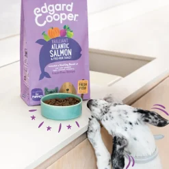 New Hondenvoer Puppy Verse Zalm en Kalkoen 2,5 kg Hondenvoer