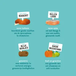 New Hondenvoer Puppy Verse Zalm en Kalkoen 2,5 kg Hondenvoer