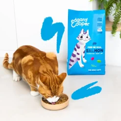 Kattenvoer<Edgard & Cooper Kattenvoer Adult Zalm 2 kg