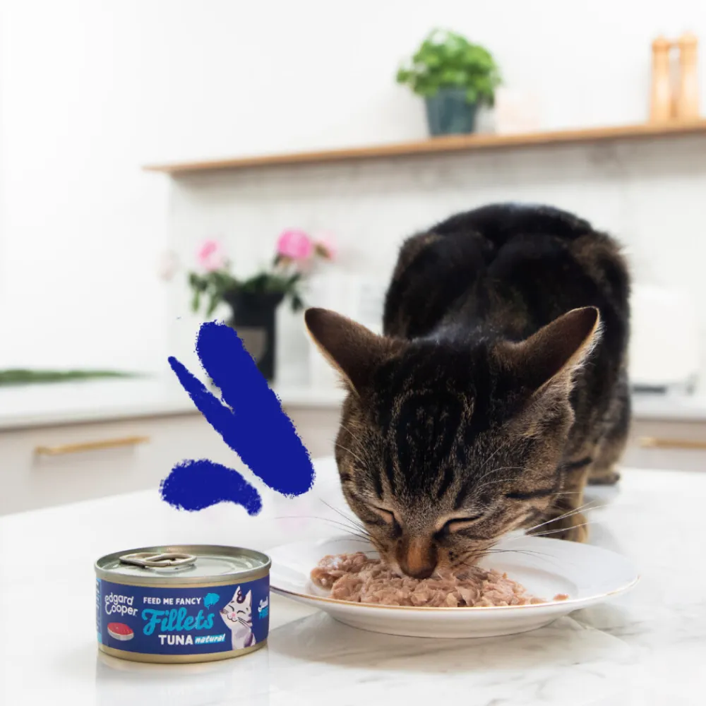 Kattenvoer Fillets Tonijn 70 gr^Edgard & Cooper Sale