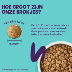 Kattenvoer Adult Kip 2 kg Kattenvoer