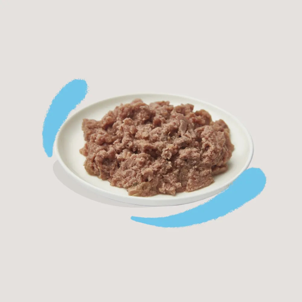 Kattenvoer Kitten Pate Kabeljauw - Kip 85 gr^Edgard & Cooper Clearance