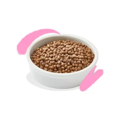 Hot Kattenvoer Kitten Eend - Kip 2 kg Kattenvoer